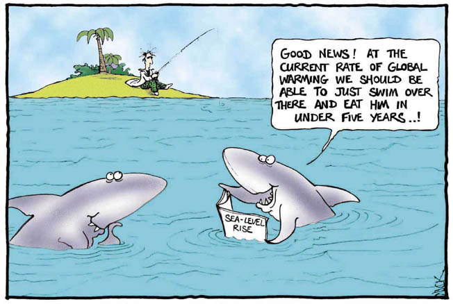 shark-global-warming
