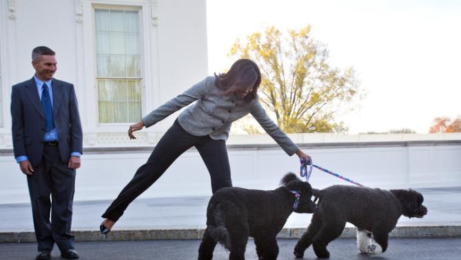 First lady Michelle Obama is pulled away by her dogs Bo and Sunny, after welcoming the Official White House Christmas Tree to the White House in Washington, Friday, Nov. 27, 2015. This year's White House Christmas tree, which will be on display in the Blue Room, was presented by Glenn Bustard, left, from Bustard's Christmas Trees in Lansdale, PA. (AP Photo/Pablo Martinez Monsivais)