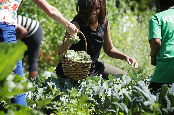 WASHINGTON, DC - JUNE 06: U.S. first lady Michelle Obama participates in a White House Kitchen Garden harvest with students June 6, 2016 at the White House in Washington, DC. The first lady welcomed back students from the kitchen garden planting earlier in spring to help the harvest today. (Photo by Alex Wong/Getty Images)